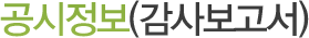 공시정보(감사보고서)